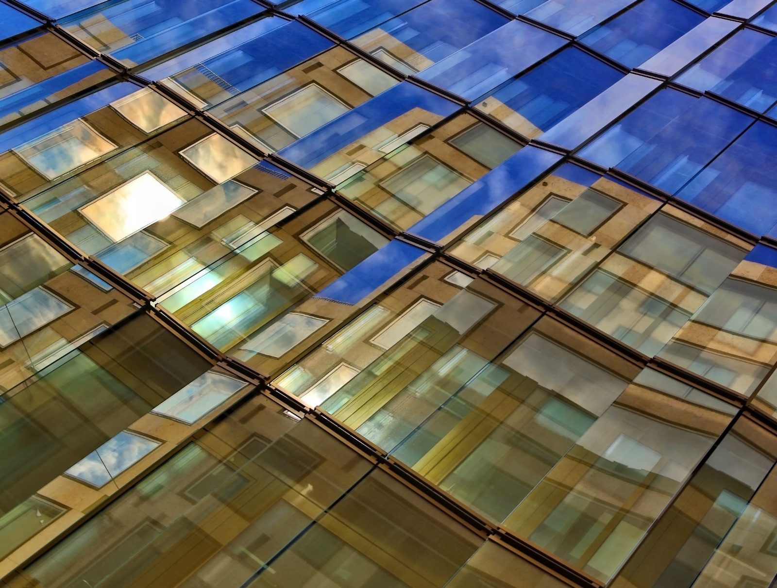 IT Procurement – How can SAM Help?