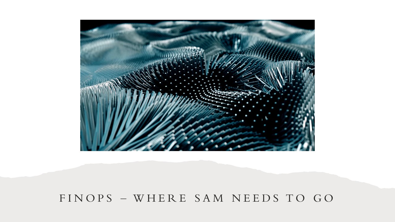 FinOps – Where SAM Needs to go