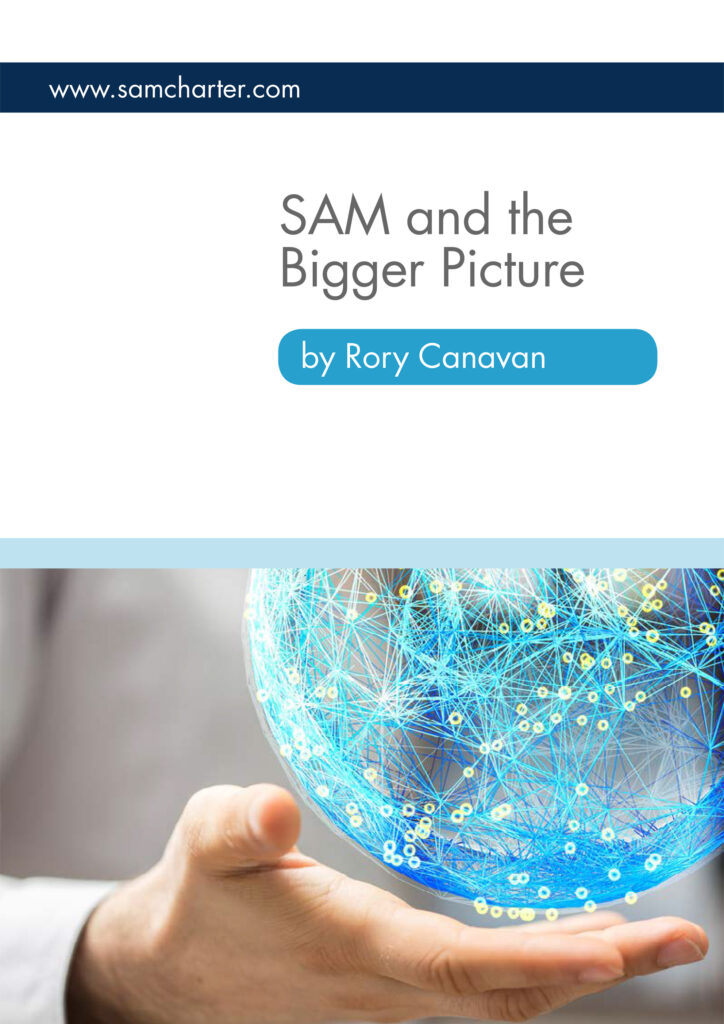 SAM and the Bigger Picture