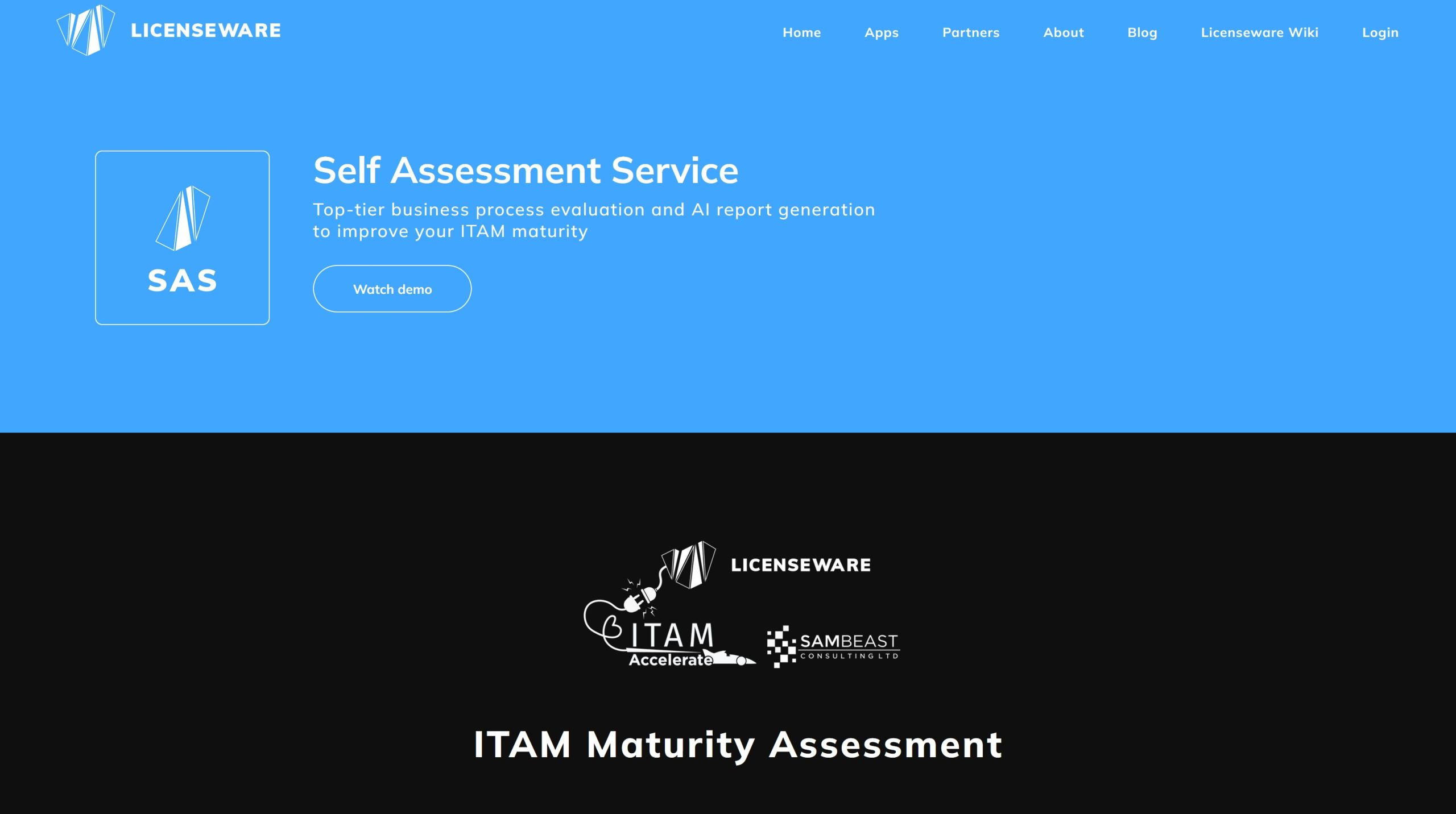 ITAM Process Maturity Assessment